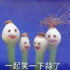 高大蒜表情包