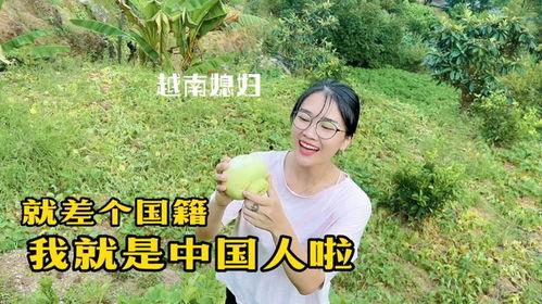 越南 搞笑字幕,笑料百出，欢乐无限